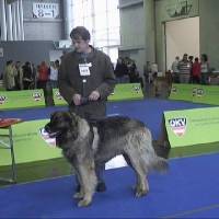 Salzburg Clubschau Mai 06 075 